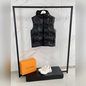 Представляем коллекцию Louis Vuitton о