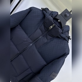 Пуховая куртка LV, Louis Vuitton 2026