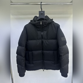 Пуховая куртка LV, Louis Vuitton 2026