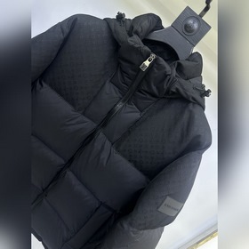 Пуховая куртка LV, Louis Vuitton 2026