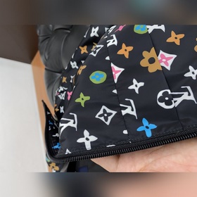 Louis Vuitton Осень/Зима 2026 Новая ко