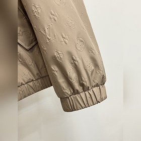 Louis Vuitton 2026 Предварительный зап