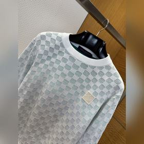 LOUIS VUITTON Трикотажный свитер с кру