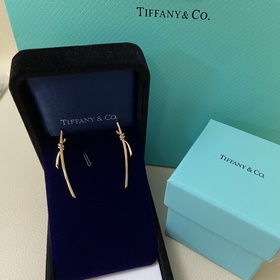 Tiffany & Co. Новинка： большие серьги 