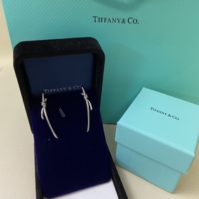 Tiffany & Co. Новинка： большие серьги 