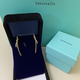Tiffany & Co. Новинка： большие серьги 