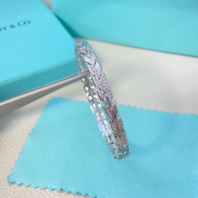 Tiffany & Co. Браслет Новый браслет с