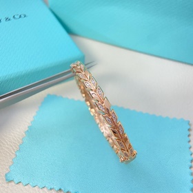 Tiffany & Co. Браслет Новый браслет с
