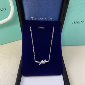 Новинка от Tiffany： миниатюрное колье 