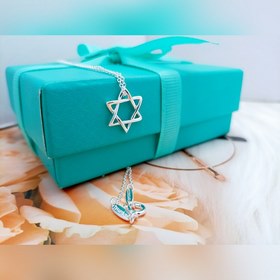 Ожерелье Tiffany с шестиугольной звезд