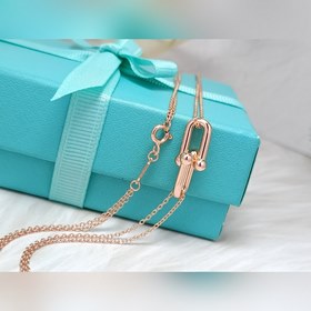 Новое колье Tiffany & Co. с полированн