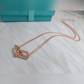 Новое колье Tiffany & Co. с полированн