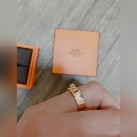 Новое кольцо для носа Hermès