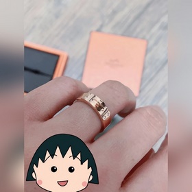 Новое кольцо для носа Hermès