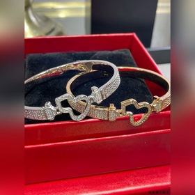 V Gold Material Qeelin Браслет с полны