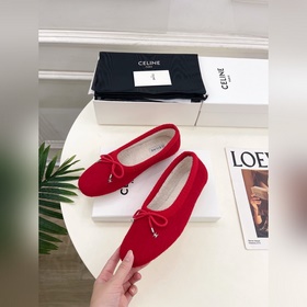 CELINE 25ss Осенне-зимняя коллекция
