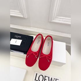 CELINE 25ss Осенне-зимняя коллекция