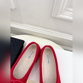 CELINE 25ss Осенне-зимняя коллекция