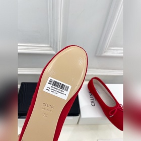 CELINE 25ss Осенне-зимняя коллекция
