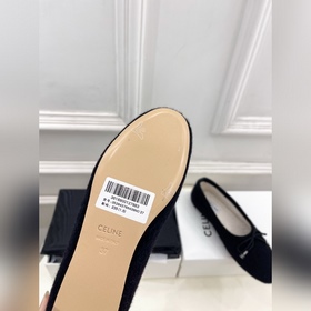 CELINE 25ss Осенне-зимняя коллекция