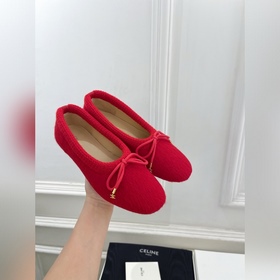 CELINE 25ss Осенне-зимняя коллекция