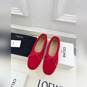 CELINE 25ss Осенне-зимняя коллекция