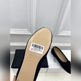 CELINE 25ss Осенне-зимняя коллекция