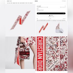 Новая модель Dior создает неповторимый