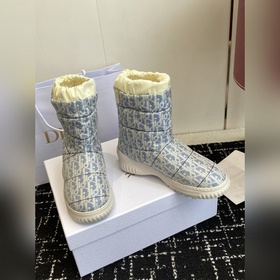 Ботильоны Dior Frost Снежные ботинки 