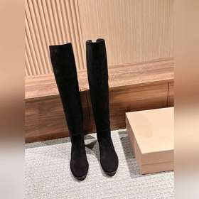 Ботинки выше колена Gianvito Rossi