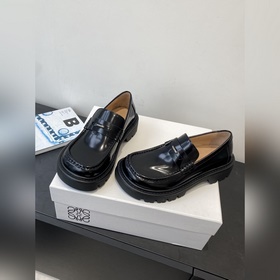 Высококачественная новинка LOEWE FW25