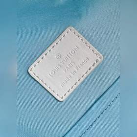163c01 Chip Premium Authentic M21846 Р