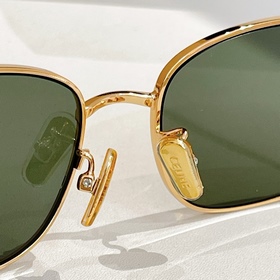 CELINE МОДЕЛЬ： CL42113U РАЗМЕР： 57x1
