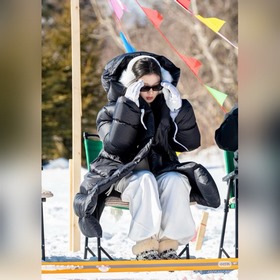 CH5520 — солнцезащитные очки, незамени