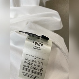 FENDI： новая коллекция, ради которой с