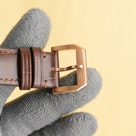 В компании IWC представлен новый модел