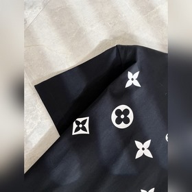 LouisVuitt* Louis Vuitton представил н