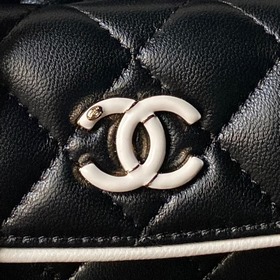 Маленькая сумка Chanel 25 из серии «Па