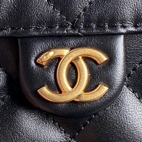 Сумка Chanel 25C из коллекции HOBO BAG