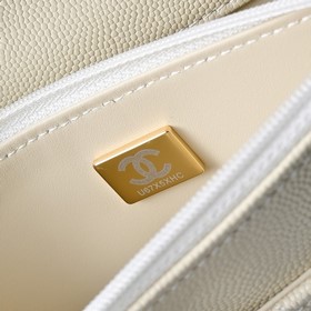 Chanel 25C — новая весенняя модель сум