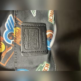 Высшая версия COACH в полной фирменной