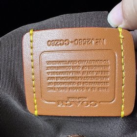 Модель Coach в максимальной комплектац