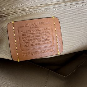 Самая последняя версия Coach в полной 
