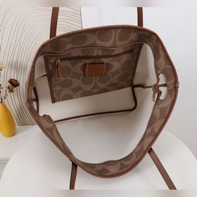 Высшая версия Coach в полной фирменной