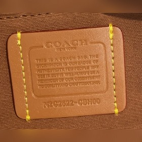 Модель Coach в максимальной комплектац