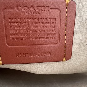 Топовая версия COACH в полной фирменно