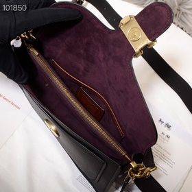 Самая дорогая версия Coach в полной фи