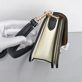 Самая топовая версия Coach в полной фи