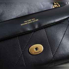 Модель Coach высшей серии в полной фир