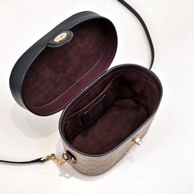 Высшая версия COACH в полной фирменной